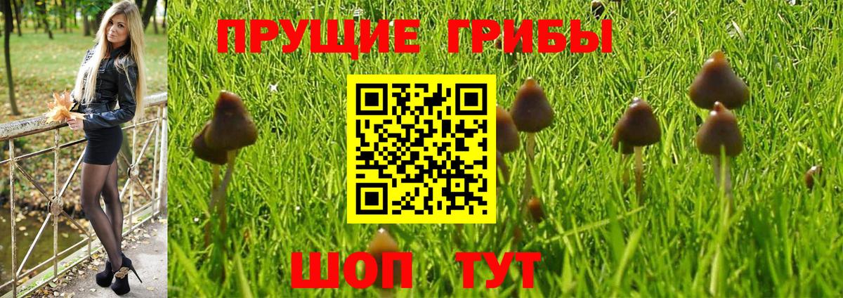 Галлюциногенные грибы прущие грибы  наркота  Киселёвск  Вход с VPN  Псилоцибиновые грибы прущие грибы 